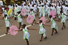 fete_de_l_unite_nationale_20_mai_2014 (597)