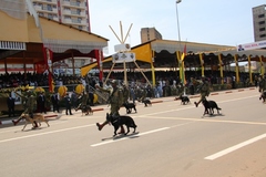 fete_de_l_unite_nationale_20_mai_2014 (83)