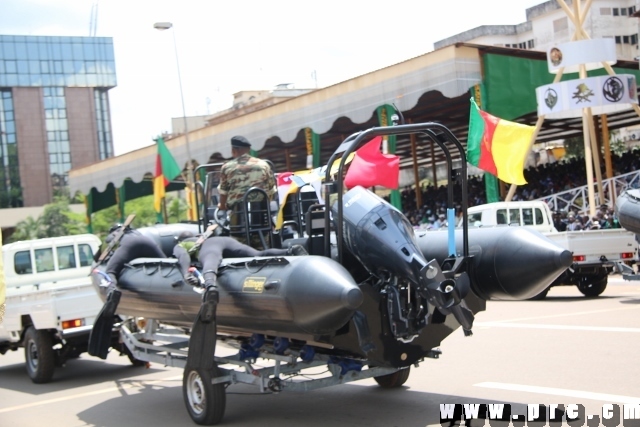 fete_de_l_unite_nationale_20_mai_2014 (365)