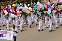 fete_de_l_unite_nationale_20_mai_2014 (509)