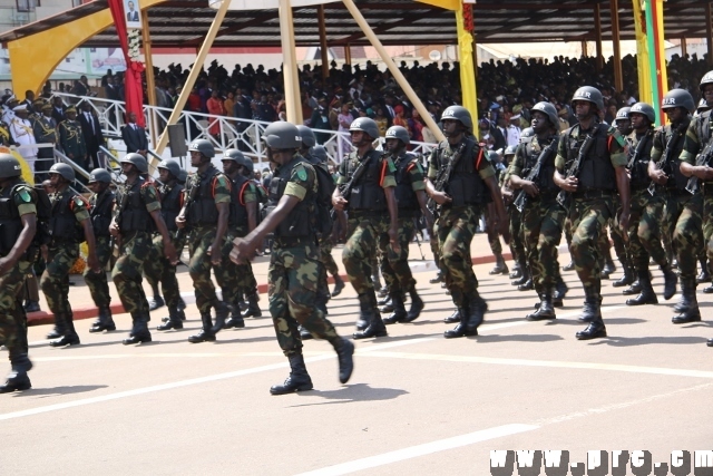 fete_de_l_unite_nationale_20_mai_2014 (188)