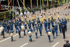 fete_de_l_unite_nationale_20_mai_2014 (538)