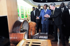 Visite du siège du Réseau international de recherche sur le bambou et le rotin - 23.03 (2)