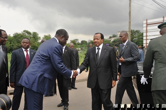 pose_1ere_pierre_deuxieme_pont_sur_le_wouri (2)