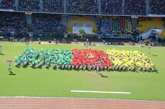 Finale de la 57ème édition de la Coupe du Cameroun de Football (5)