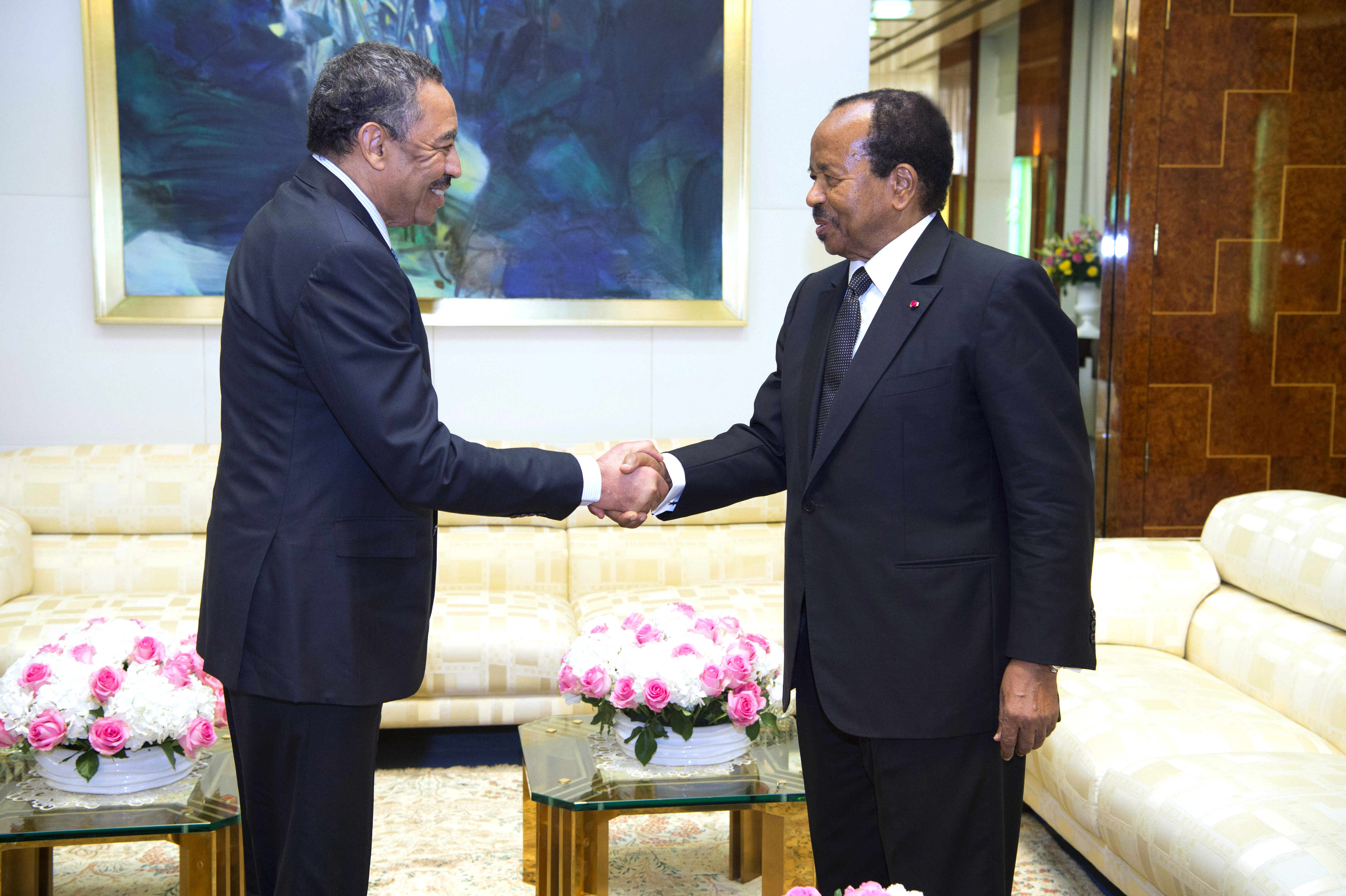 Audience accordée au vice-ministre saoudien de la Défense