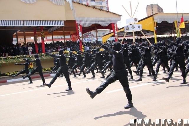 fete_de_l_unite_nationale_20_mai_2014 (197)