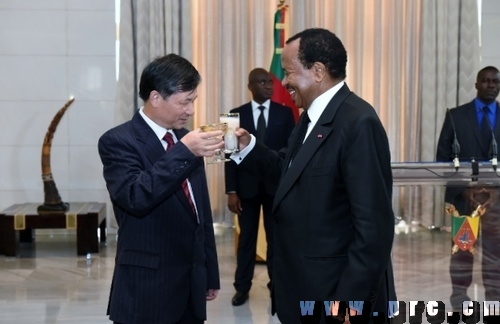 ex_otages_camerounais_et_chinois (28)