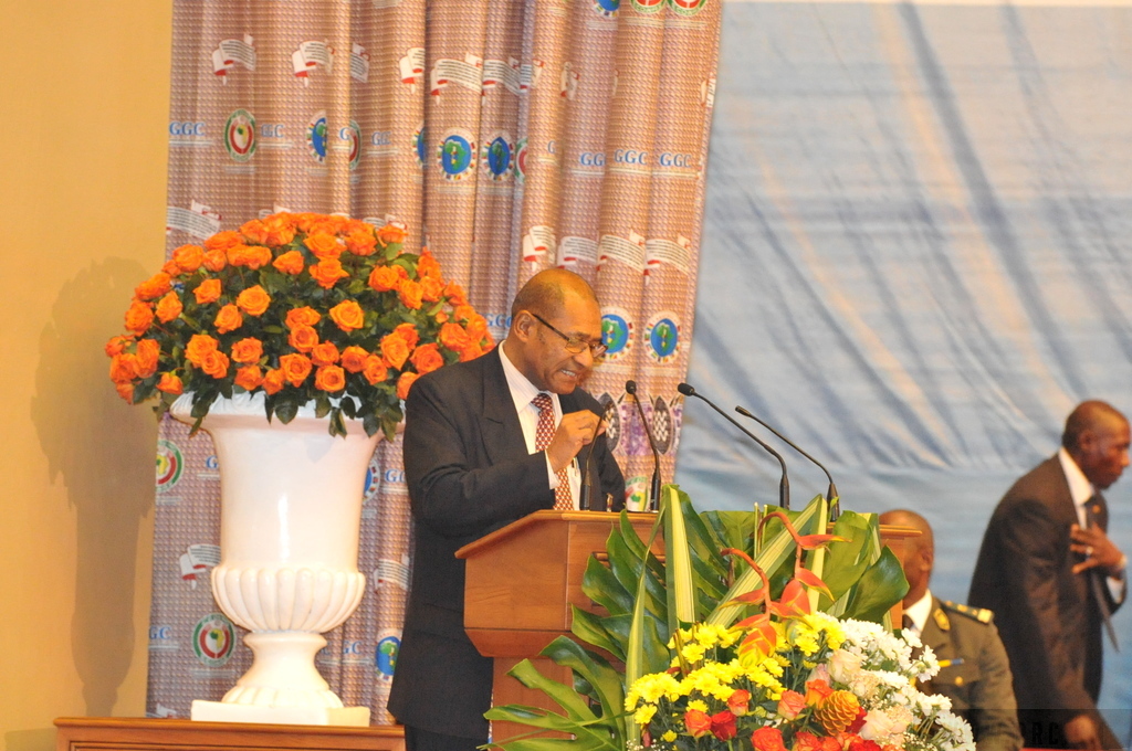 Allocution du Représentant du Secrétaire Général des Nations Unies