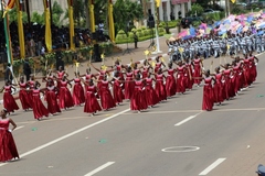 fete_de_l_unite_nationale_20_mai_2014 (517)