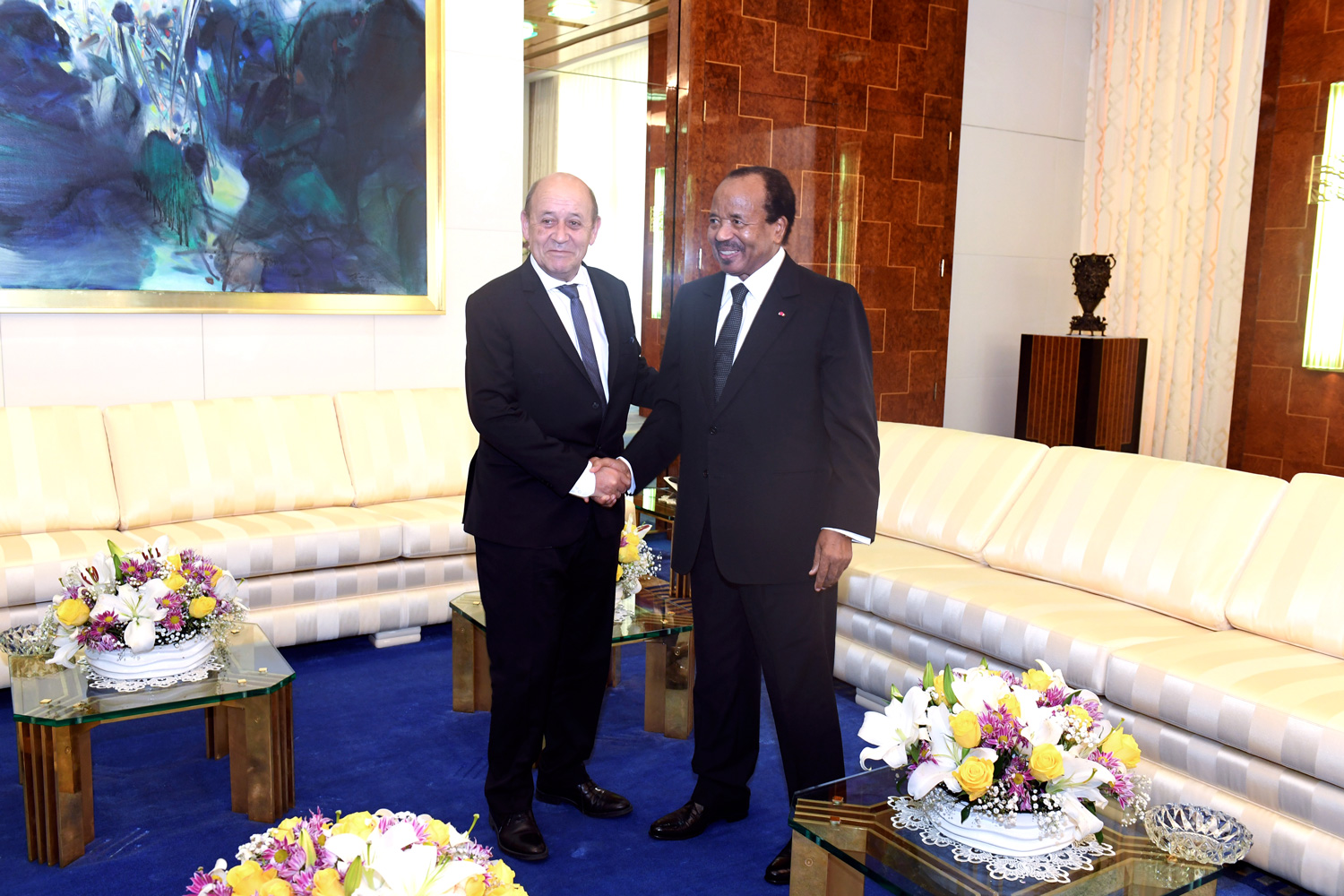 Audience avec Jean-Yves Le Drian, Ministre français de l'Europe et des Affaires Etrangères